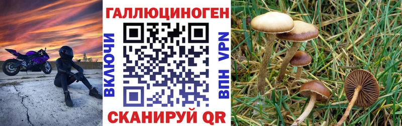Псилоцибиновые грибы мухоморы  цена наркотик  Междуреченск 