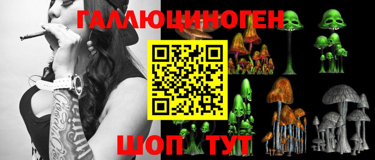 Галлюциногенные грибы Cubensis Междуреченск