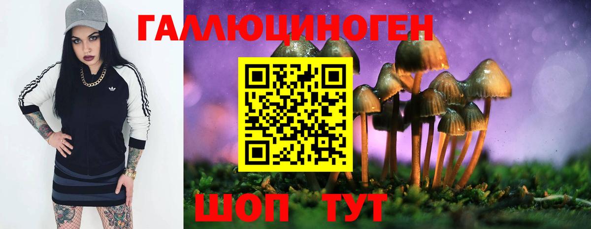 Междуреченск  Псилоцибиновые грибы Psilocybine cubensis  Вход с VPN 