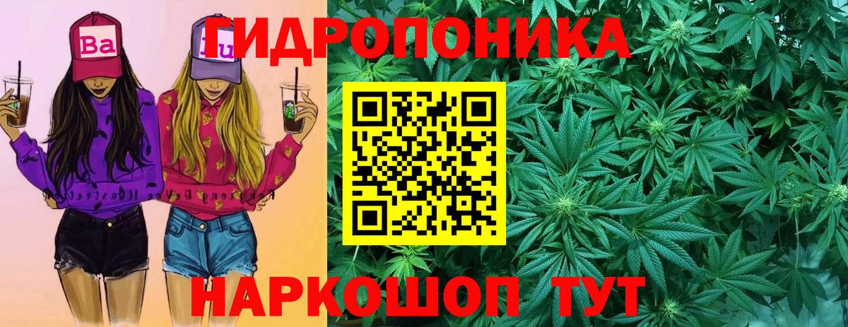 Конопля сатива Междуреченск